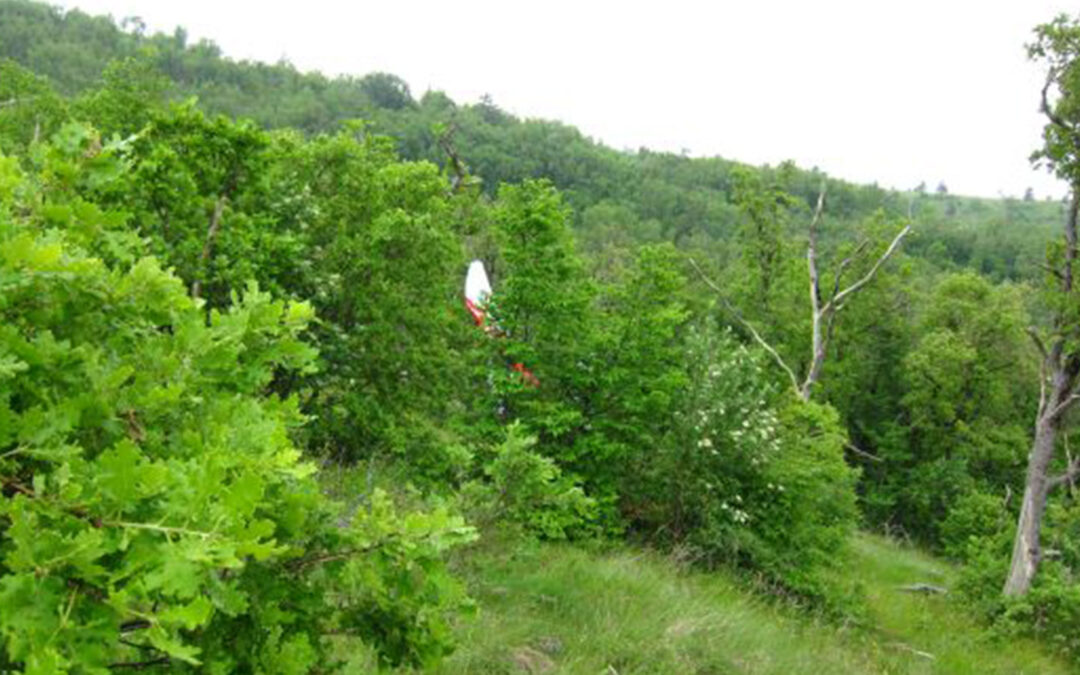 Pad parajedrilice tijekom leta iznad planine Učka – Učka, 22.05.2016.